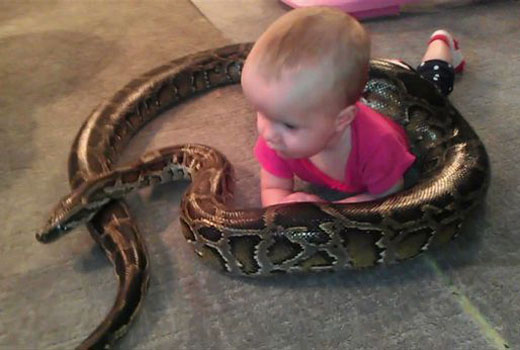 Snake 1